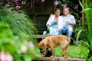 Elderly couple relaxing in their garden with their dog.